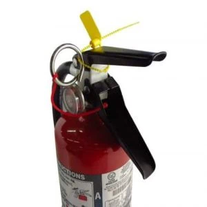 Fire extinguisher anti tamper tag for UK legislation